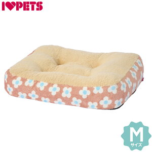 y1310Iő5000ptobNő2000~OFFN[|Iz{rAR XNGANbV M t[uE tbgxbh XNGAxbh g