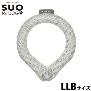yGg[Ń|Cg+2{I{IzXI O tH[ hbO SUO RING for dogs 28°ICE Of`FbN fR{^t LLB O[ M΍ObY ΍ Ђ lbNN[[ lb