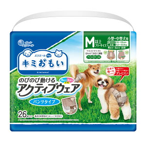 yX|Cgő46{I{IzGG[ L~ ANeBuEFA M-L 26