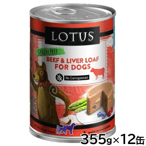 yX|Cgő46{I{Iz[^X hbOt[h OCt[ EFbgt[h r[t [t 355g×12ʃZbgyz Y ʋl