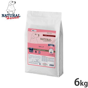 yX|Cgő46{I{Izi`n[xXg hbOt[h LhjA tapHÖ@H 6kgyz Y p {p