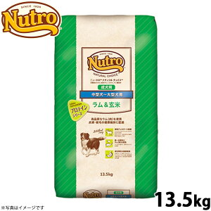 yGg[Ń|Cg+6.5{I{Izj[g i``CX hbOt[h  ^`^ p 13.5kg Y  [NC-AD]