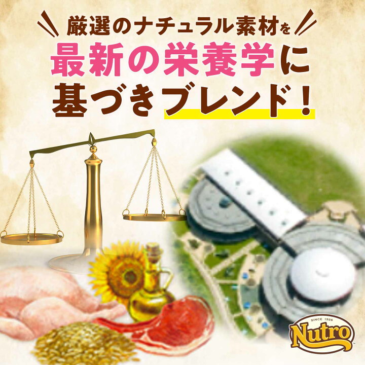 楽天市場 ニュートロ ナチュラルチョイス キャットフード 室内猫用 アダルト チキン 2kg 無添加 猫 ペットグッズ ペット用品 コジコジ