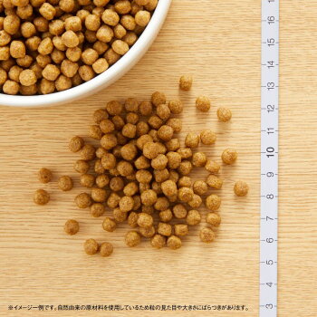ニュートロナチュラルチョイスドッグフードアダルト鹿肉&玄米3.5kg【低アレルギー】【5,250円以上で送料無料】【smtb-k】【w3】