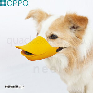 yGg[Ń|Cg+6.5{I{IzOPPO quack closediNAbN N[YjLTCY pi ցi݂ ʖih~j/GUxXJ[