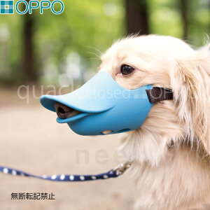 yGg[Ń|Cg+6.5{I{IzOPPO quack closediNAbN N[YjMTCY pi ցi݂ ʖih~j/GUxXJ[