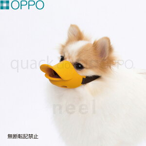 yGg[Ń|Cg+6.5{I{IzOPPO quack closediNAbN N[YjSTCY pi ցi݂ ʖih~j/GUxXJ[