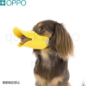 yGg[Ń|Cg+6.5{I{IzOPPO quackiNAbNj SMTCY pi ցi݂ ʖih~j/GUxXJ[