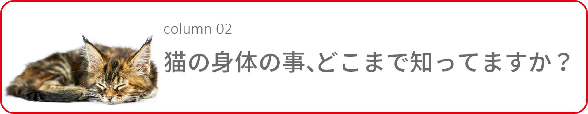 猫の身体の事どこまで知ってますか？