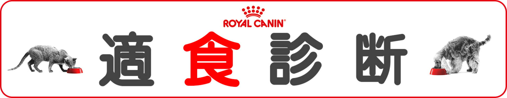 ロイヤルカナン 適食診断