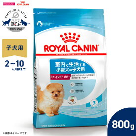 【最大2000円OFFクーポン！＆店内ポイント最大51倍！本日限定！】ロイヤルカナン 犬 ドッグフード ミニ インドア パピー 800g 正規品 室内で生活する小型犬専用 子犬用