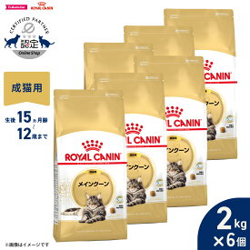 【9/18限定！抽選で最大1万ポイントバック】ロイヤルカナン 猫 キャットフード フィーラインブリードニュートリション メインクーン専用フード 成猫用 2kg×6個 正規品