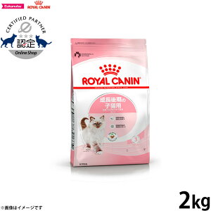 yGg[Ń|Cg+6.5{I925IzCJi L Lbgt[h Lg 2kg Ki Lpi/˂ObY/ybg ybgObY/ybgpi