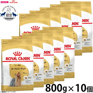 y2000~OFFN[|IX|Cgő56{IX[p[SALEIzCJi  hbOt[h u[hwXj[gV [NV[eApt[h `p 800g×10 