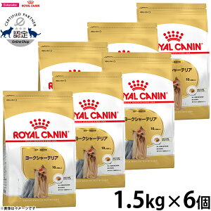 y2000~OFFN[|IX|Cgő56{IX[p[SALEIzCJi  hbOt[h u[hwXj[gV [NV[eApt[h `p 1.5kg×6 