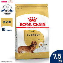 楽天市場】ロイヤルカナン シュナウザー 7.5kgの通販