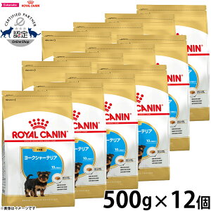 y2000~OFFN[|IX|Cgő56{IX[p[SALEIzCJi  hbOt[h u[hwXj[gV [NV[eApt[h qp 500g×12 Ki