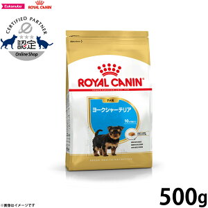 y2000~OFFN[|IX|Cgő56{IX[p[SALEIzCJi  hbOt[h u[hwXj[gV [NV[eApt[h qp 500g Ki