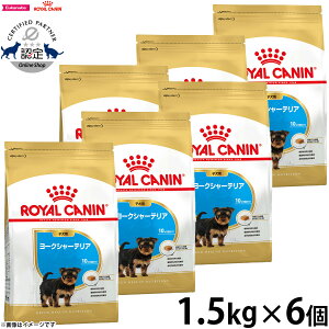 y2000~OFFN[|IX|Cgő56{IX[p[SALEIzCJi  hbOt[h u[hwXj[gV [NV[eApt[h qp 1.5kg×6 Ki