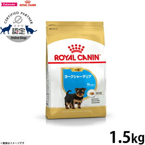 y2000~OFFN[|IX|Cgő56{IX[p[SALEIzCJi  hbOt[h u[hwXj[gV [NV[eApt[h qp 1.5kg Ki