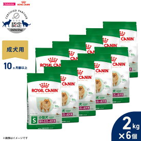 【店内ポイント最大43倍！本日限定！】ロイヤルカナン 犬 ドッグフードミニ インドア アダルト 800g×10個 正規品 室内で生活する小型犬専用 成犬用