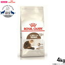 【本日限定！ポイントさらに+4倍！店内ポイント最大47倍！】ロイヤルカナン 猫 キャットフード エイジング 12＋ 4kg 正規品 猫用品/ねこグッズ/ペットグッズ/ペット用品
