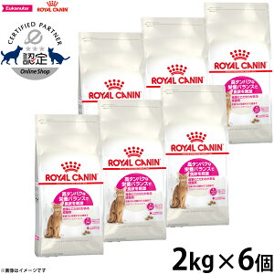 yX|Cgő46{I{IzCJi L Lbgt[h tB[CwXj[gV veCGNVWFg 2kg×6 Ki ^pNȉh{oXɂ