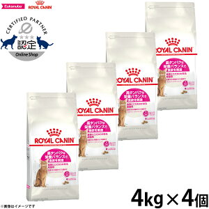 yX|Cgő46{I{IzCJi L Lbgt[h tB[CwXj[gV veC GNVWFg 4kg×4 Ki ^pNȉh{oXɂ