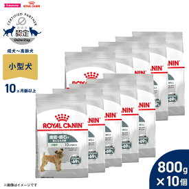【最大2000円OFFクーポン！＆店内ポイント最大50倍！マラソン限定！】ロイヤルカナン 犬 ドッグフード ケーナインケアニュートリション ミニ デンタルケア 800g×10個 正規品 歯垢・歯石が気になる犬用 小型犬専用 成犬〜高齢犬用