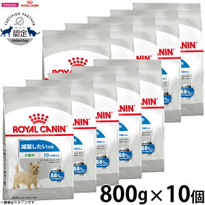 yX|Cgő46{I{IzCJi  hbOt[h P[iCPAj[gV ~j Cg EFCg PA 800g×10 Ki ʂp ^p `