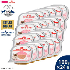 マザー&ベビーキャット 24」の人気商品一覧・価格比較 - 価格.com