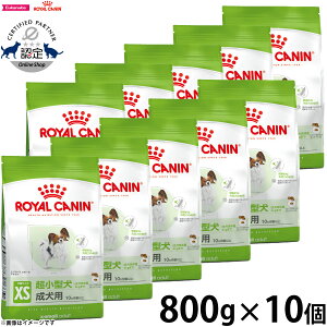 y1310Iő5000ptobNő2000~OFFN[|IzCJi  hbOt[h TCYwXj[gV GNXg X[ A_g 800g×10 Ki ^pt[