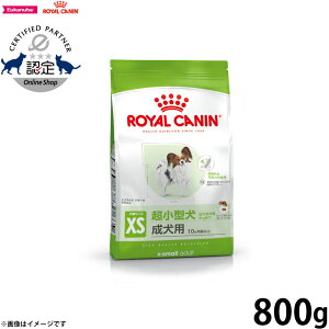 y1310Iő5000ptobNő2000~OFFN[|IzCJi  hbOt[h TCYwXj[gV GNXg X[ A_g 800g Ki ^pt[h 