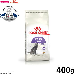 yX|Cgő39{I{IzCJi XeACYh D  Lp 12ȏ 400g Lbgt[h tB[C wX j[gV   H~