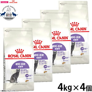 yGg[Ń|Cg+3{I{IzCJi XeACYh D  Lp 12ȏ 4kg×4  Lbgt[h tB[C wX j[gV ^