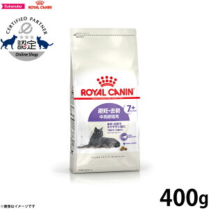 yX|Cgő39{I{IzCJi XeACYh7{ D  Lp 7΂12΂܂ 400g Lbgt[h tB[C wX j[gV   