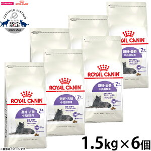 yX|Cgő39{I{IzCJi XeACYh7{ D  Lp 7΂12΂܂ 1.5kg×6 Lbgt[h tB[C wX j[gV  