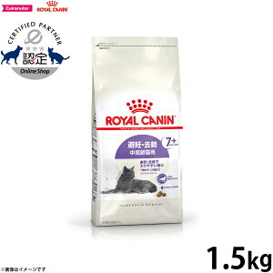 yX|Cgő39{I{IzCJi XeACYh7{ D  Lp 7΂12΂܂ 1.5kg Lbgt[h tB[C wX j[gV   