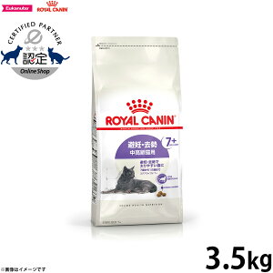 yX|Cgő39{I{IzCJi XeACYh7{ D  Lp 7΂12΂܂ 3.5kg Lbgt[h tB[C wX j[gV   