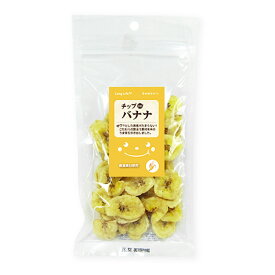 【店内ポイント最大42倍！5月18日！】エースプロダクツ LongLife 犬用おやつ チップDEバナナ 60g