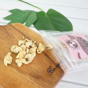 yX|Cgő46{I{Izs[X Lp t[YhCV[Y  9g Y  i` VR L Lbg g[c gbsO 育͂