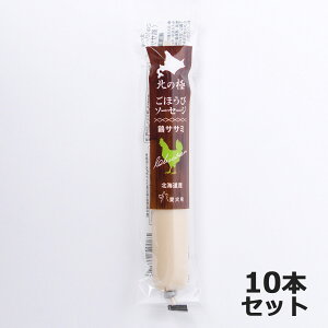 yX|Cgő39{I{Izk̋ ̂ قу\[Z[Wi{݁j 40g×10{ Y Y kCY