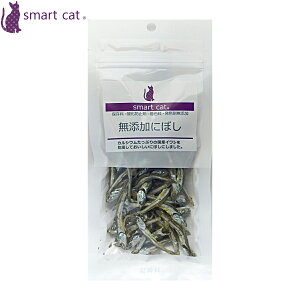 yX|Cgő46{I{IzX}[gLbg Lp Yɂڂ 25g