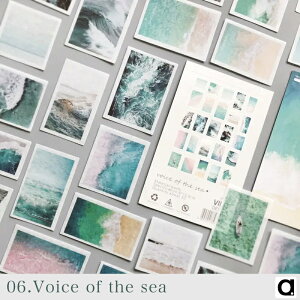 y1setF50piece}Xefޕ aXebJ[ 蒠ER[Wpzeʁ@tBJ@CX^O@@wi@i@l@@A@~jV[@COXebJ[@a@