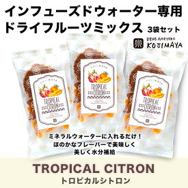 ミネラルウォーターにドライフルーツを入れるだけ インフューズドウォーター専用 ドライフルーツミックス トロピカルシトロン 3袋セット太陽をたっぷり浴びた南国ビタミンカラーフルーツがたっぷり ドラゴンフルーツ の自然なヴィヴィッドピンクで気分もハッピーに