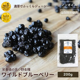 ノンオイル ワイルドブルーベリー 野生種 200g アメリカ産濃厚な甘み 油不使用だからさっぱりしたクリアーな上品な味わいドライフルーツ ブルーベリー ドライブルーベリー 上野 アメ横 ドライフルーツ 専門店