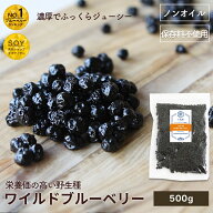 ノンオイル ワイルドブルーベリー 野生種 500g アメリカ産濃厚な甘み 油不使用だからさっぱりしたクリア…