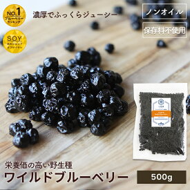 ノンオイル ワイルドブルーベリー 野生種 500g アメリカ産濃厚な甘み 油不使用だからさっぱりしたクリアーな上品な味わいドライフルーツ ブルーベリー ドライブルーベリー 上野 アメ横 ドライフルーツ 専門店
