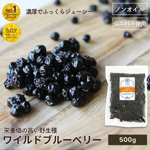 �m���I�C�� ���C���h�u���[�x���[ �쐶�� 500g �A�����J�Y�Z���ȊÂ� ���s�g�p�����炳���ς肵���N���A�[�ȏ�i�Ȗ��킢�h���C�t���[�c �u���[�x���[ �h���C�u���[�x���[ ��� �A���� �h