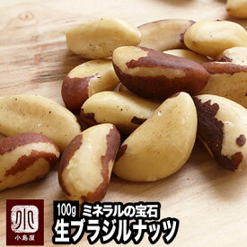 直輸入 ブラジルナッツ 無添加 無塩 生ナッツ 100g ブラジル産 ミネラル豊富 スーパーフード brazilnuts 栄養満点 ブラジルナッツ1粒で健康や美容、ダイエットにお料理にも幅広く活用できます ナッツ専門店 上野 アメ横